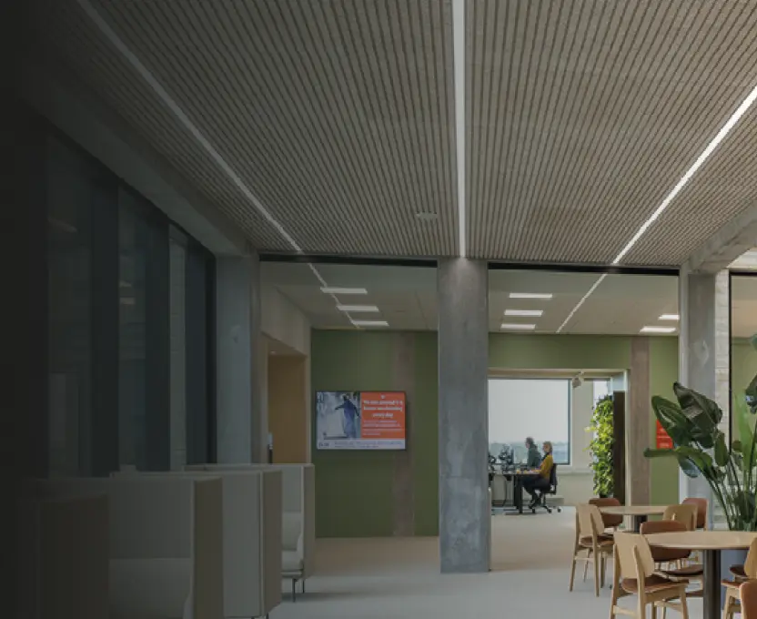 Få tips til næringsprosjekter